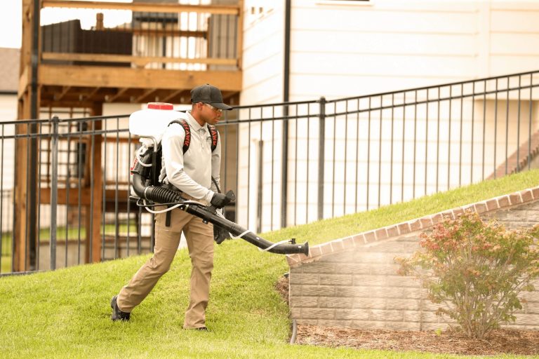 Pest Risks Hiding Under Olathe Playsets and Sheds