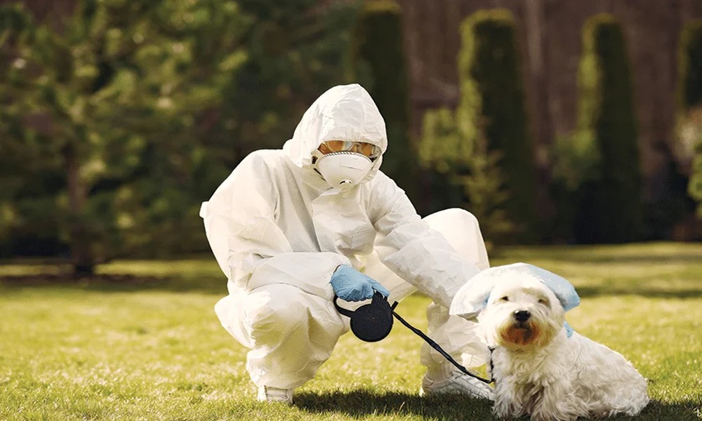 article_7929_featured